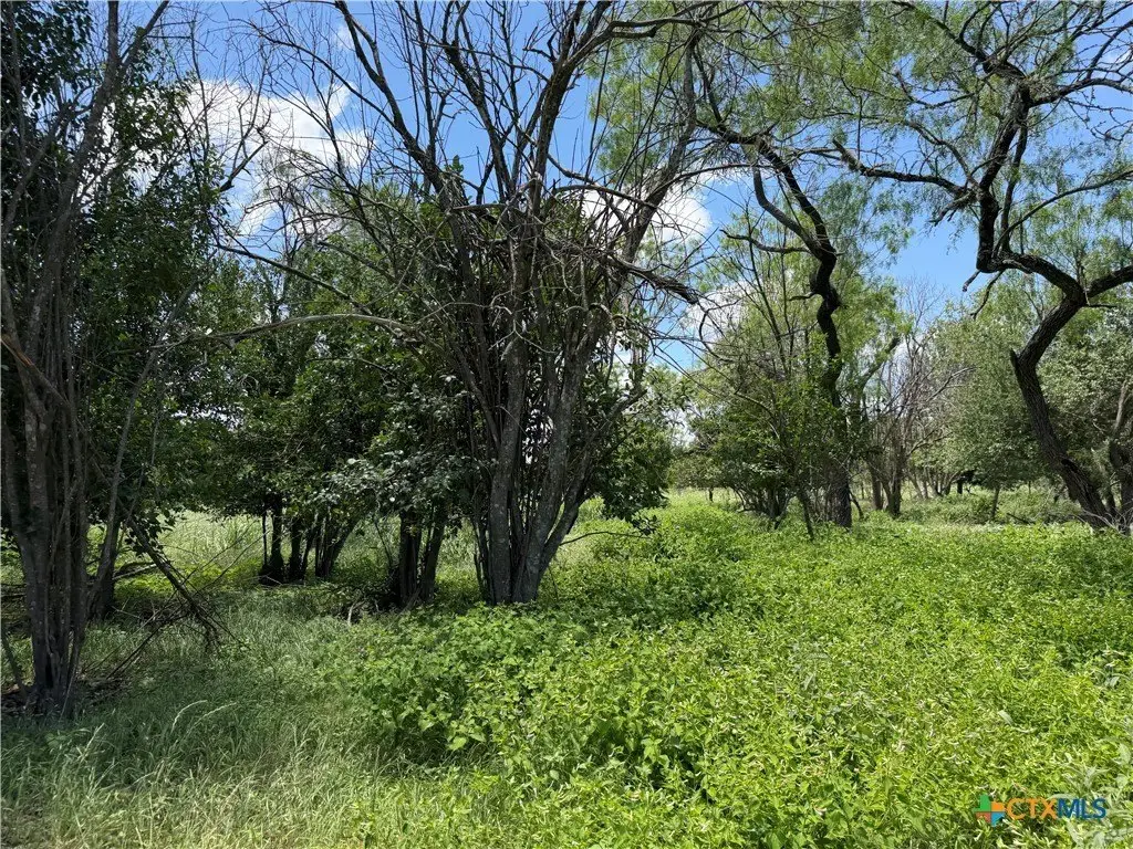 Picture 26