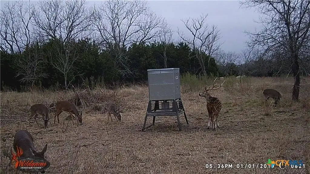 Picture 14
