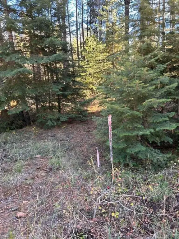 Picture 12