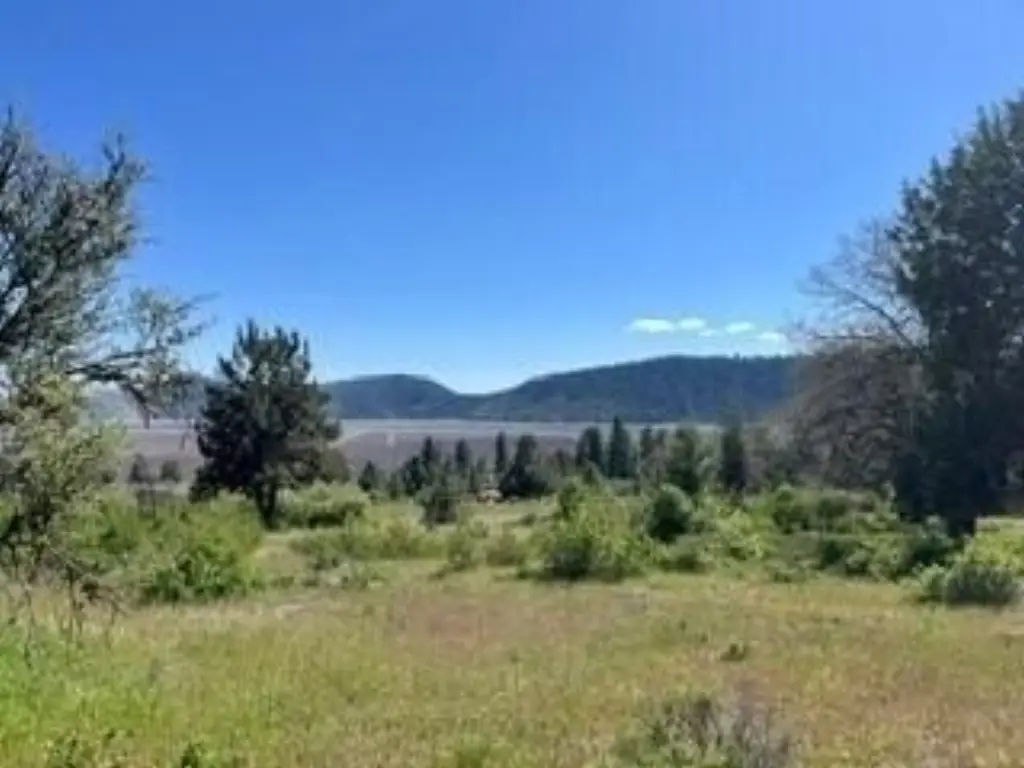 Picture 10