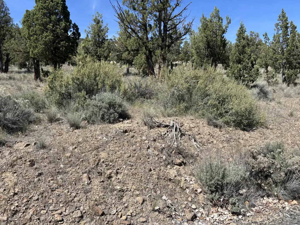 Picture 4