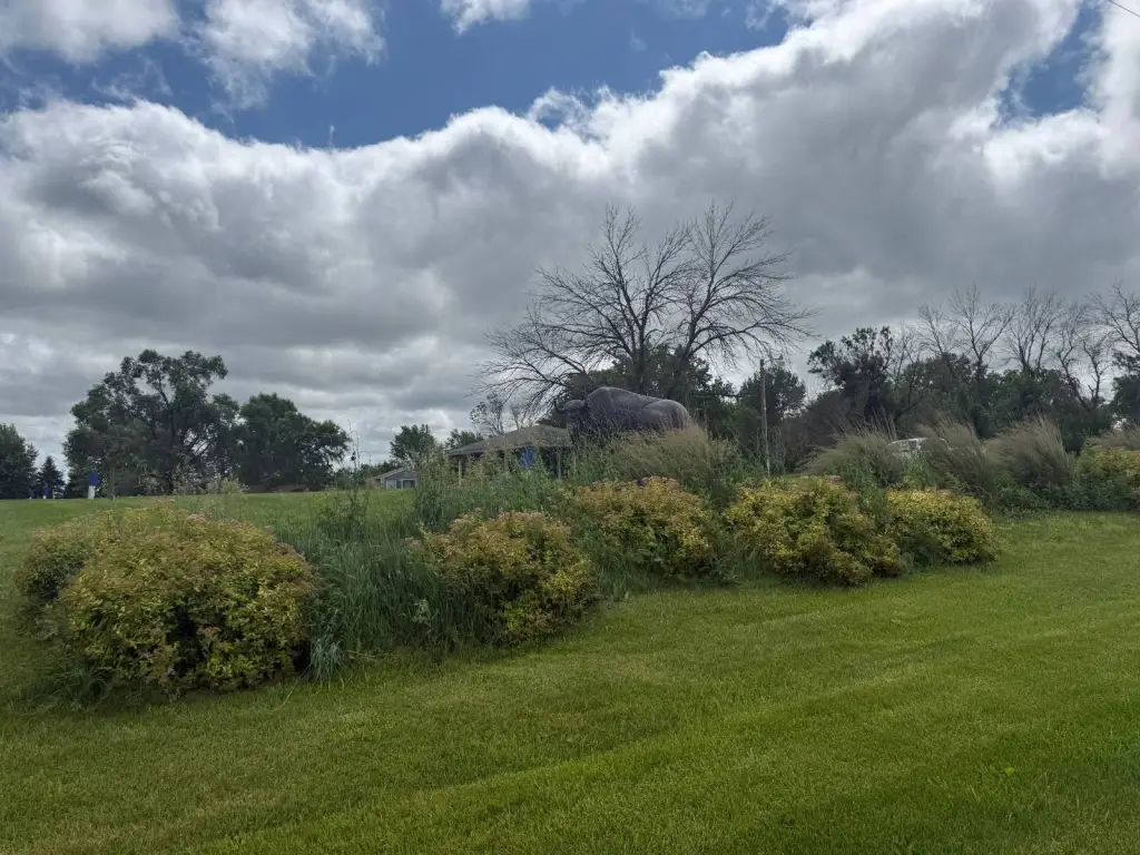 Picture 19