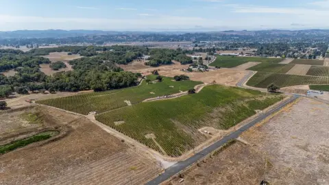 Sonoma County Vineyard Opportunity