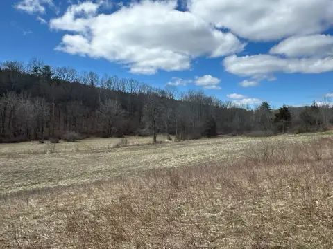 Expansive Land in West Coxsackie