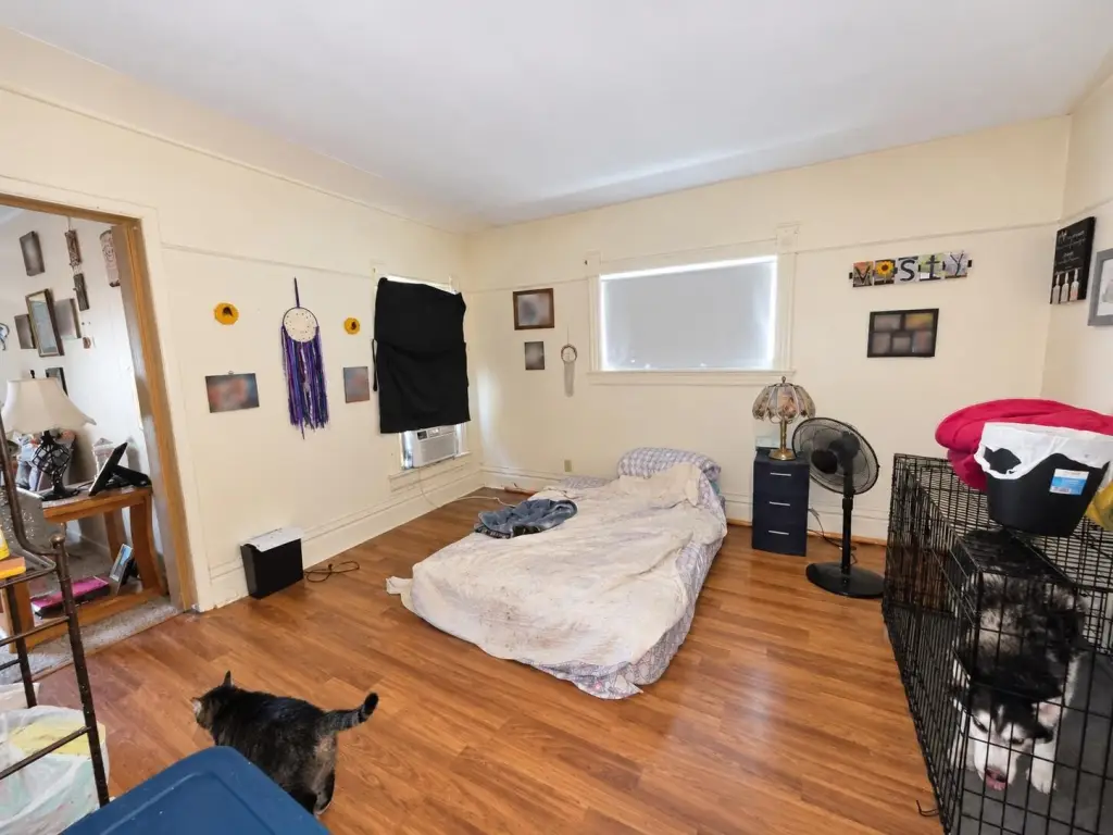 Picture 20