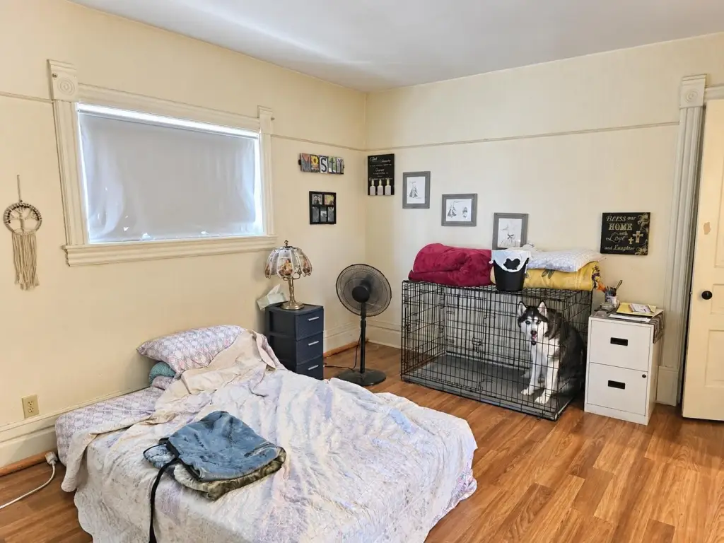 Picture 21
