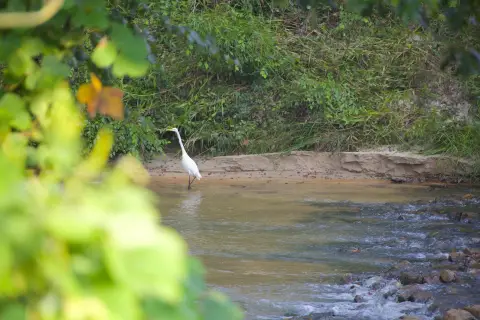 485 Acres Investment Tract For Sale