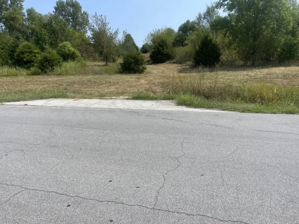 Picture 5
