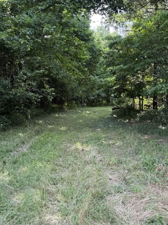 Picture 18