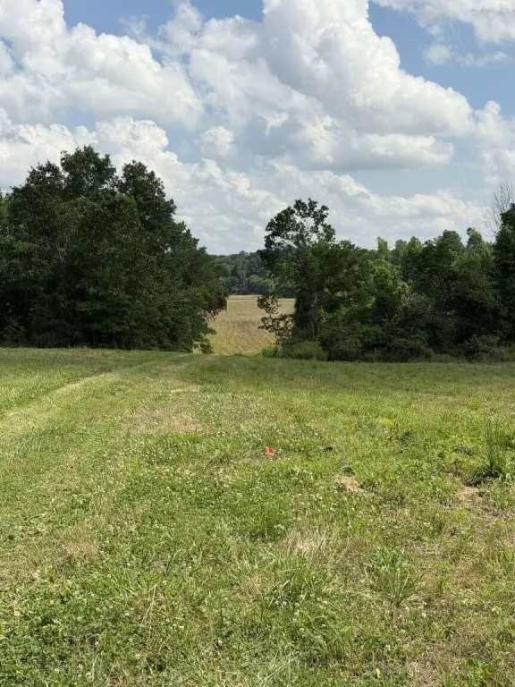 Picture 22