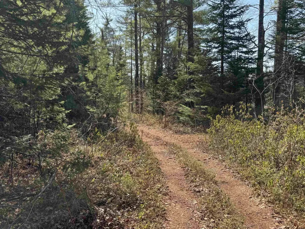 Picture 21