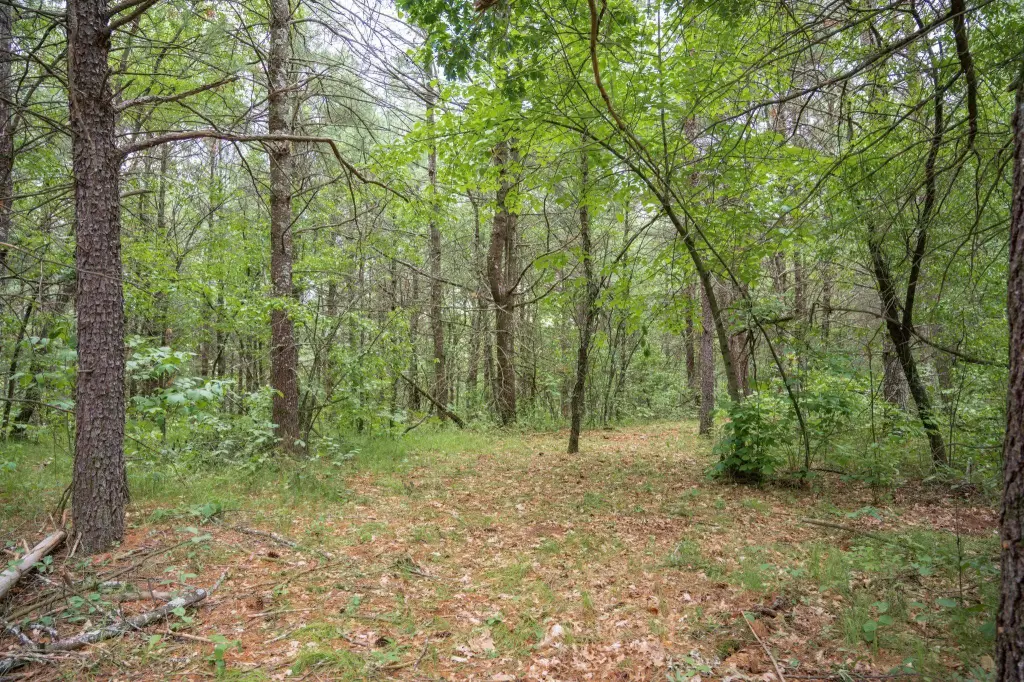 Picture 46