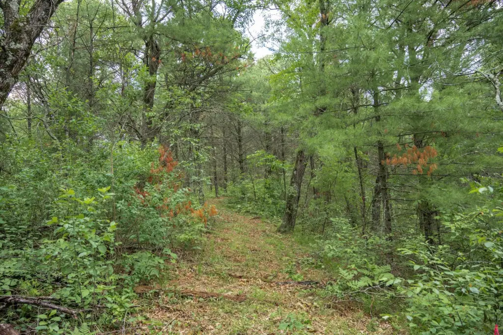 Picture 42
