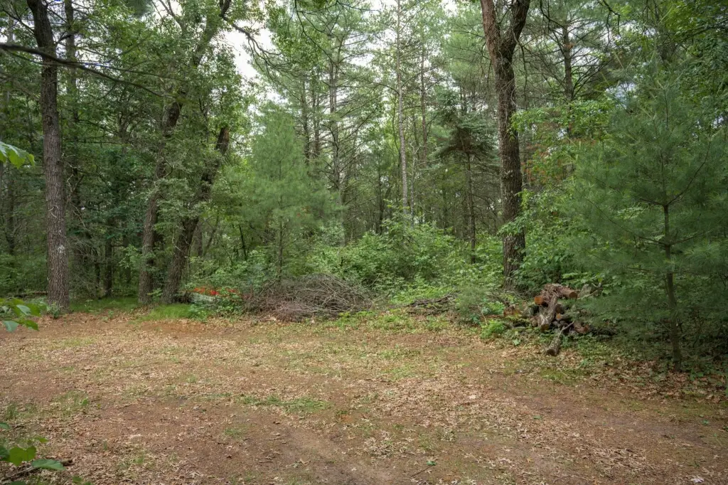 Picture 26