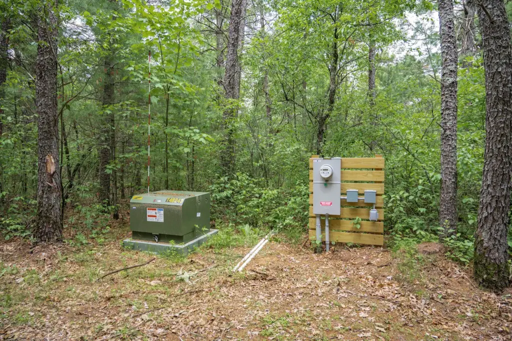 Picture 12