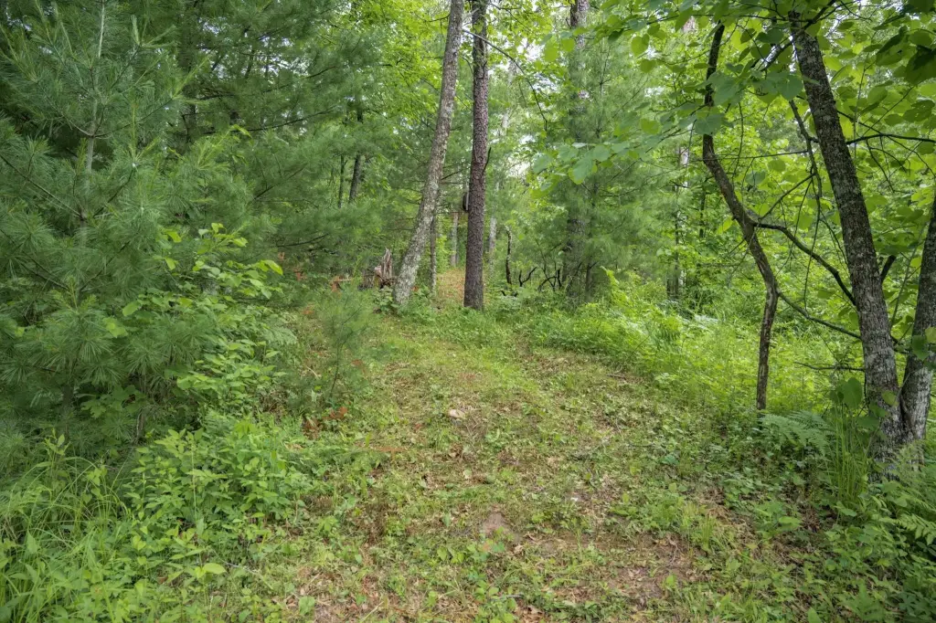 Picture 39