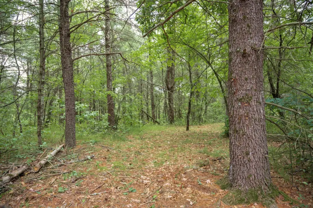 Picture 23