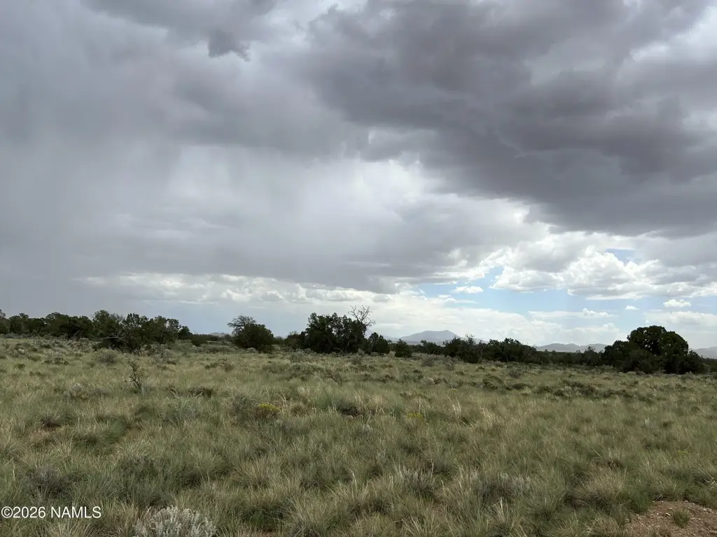Picture 25