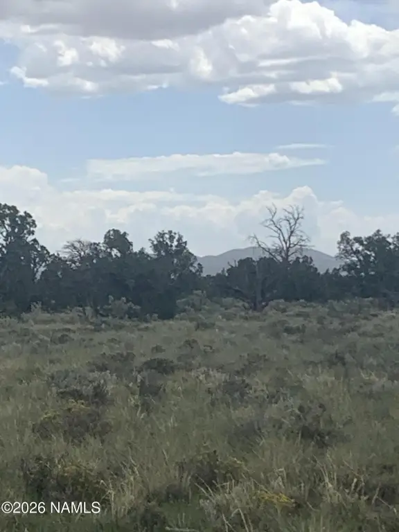 Picture 21