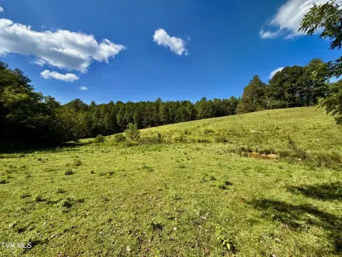 Versatile Acreage in Hartford, TN