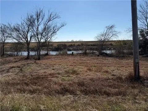 Marsh Land Near Venice Marina