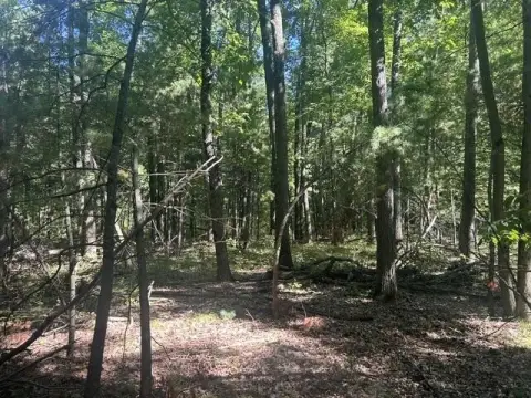 Wooded Recreation Land