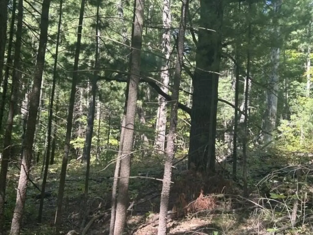 Picture 4