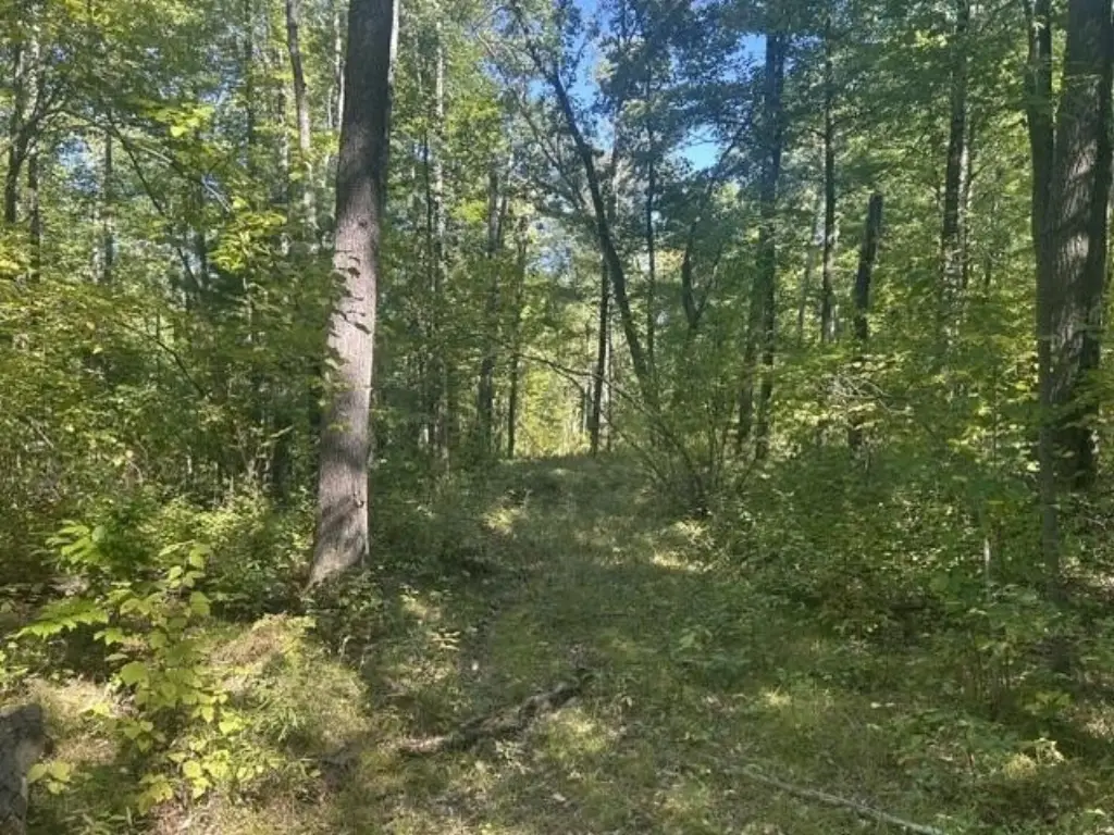 Picture 7