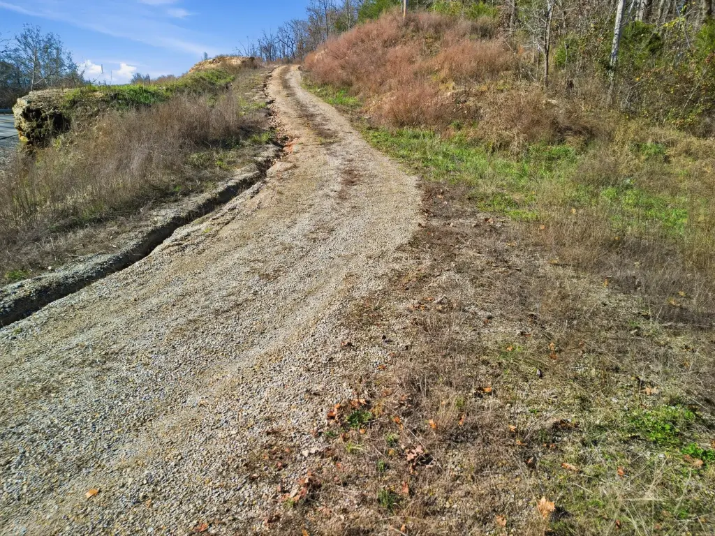Picture 3