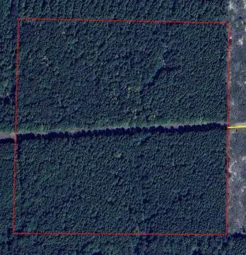 40 Acre Land Parcel
