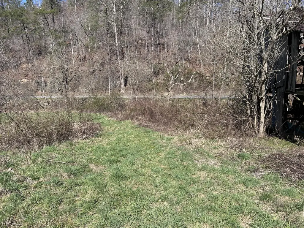 Picture 2