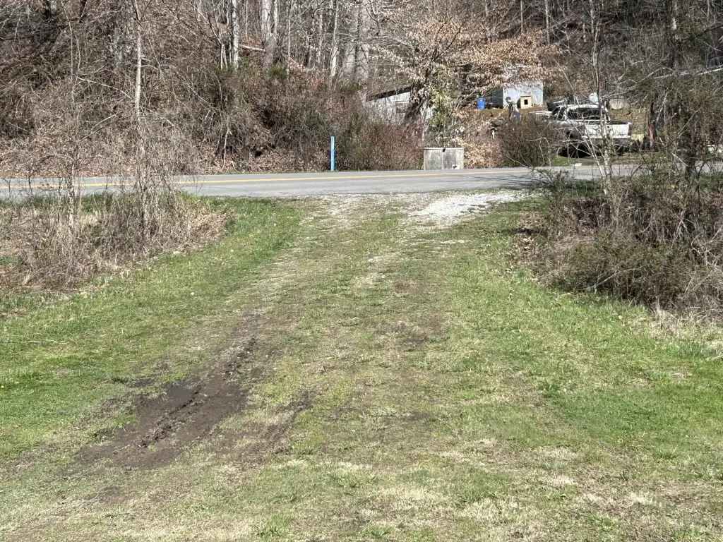 Picture 4