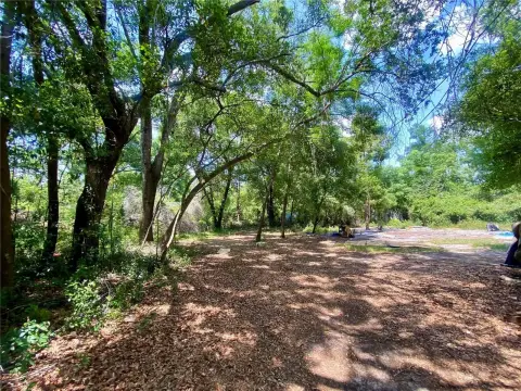 Residential Land in Apopka, FL
