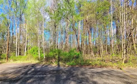 Undeveloped Land in Walkertown, NC