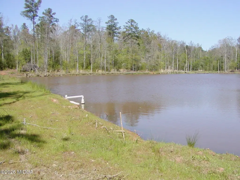 Picture 4