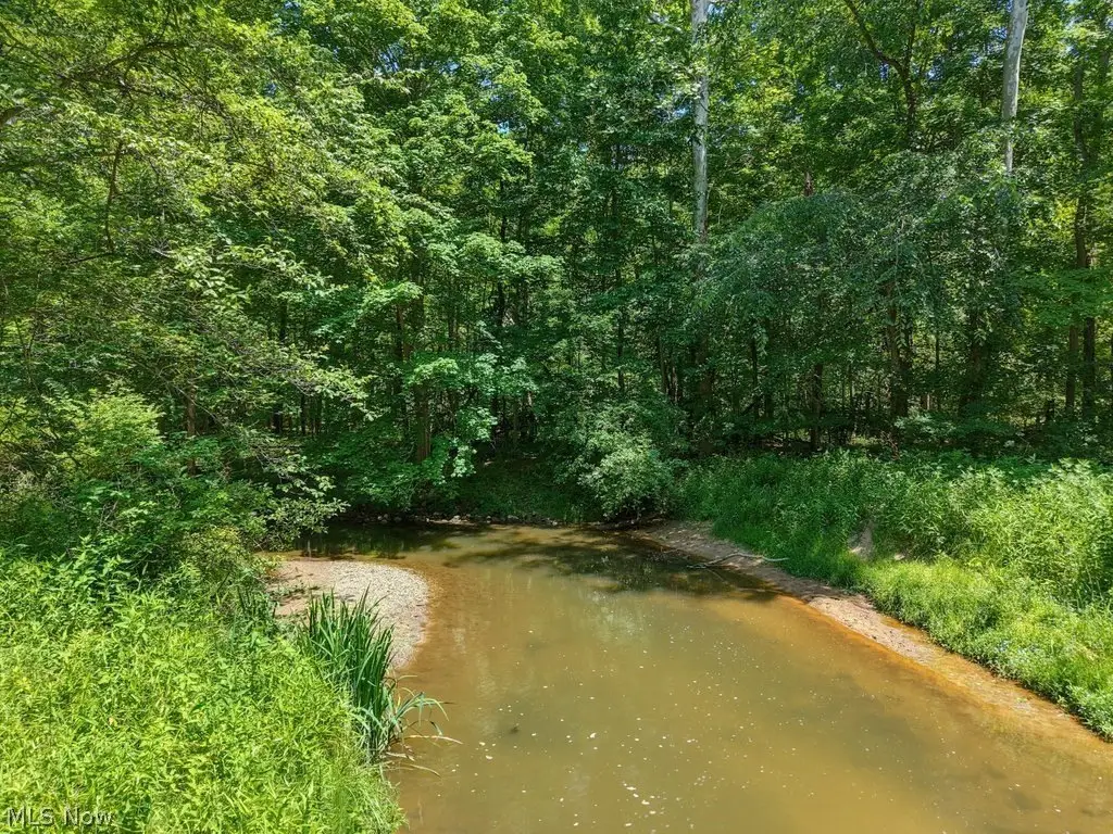 Picture 30