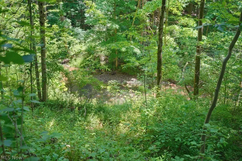 Picture 18