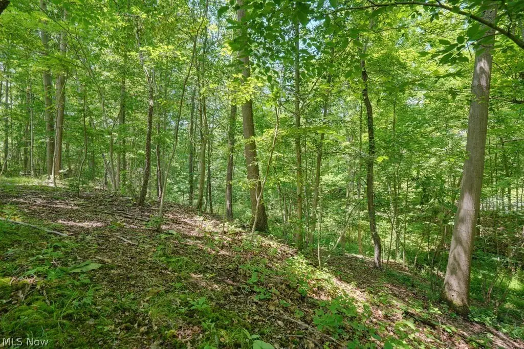 Picture 17