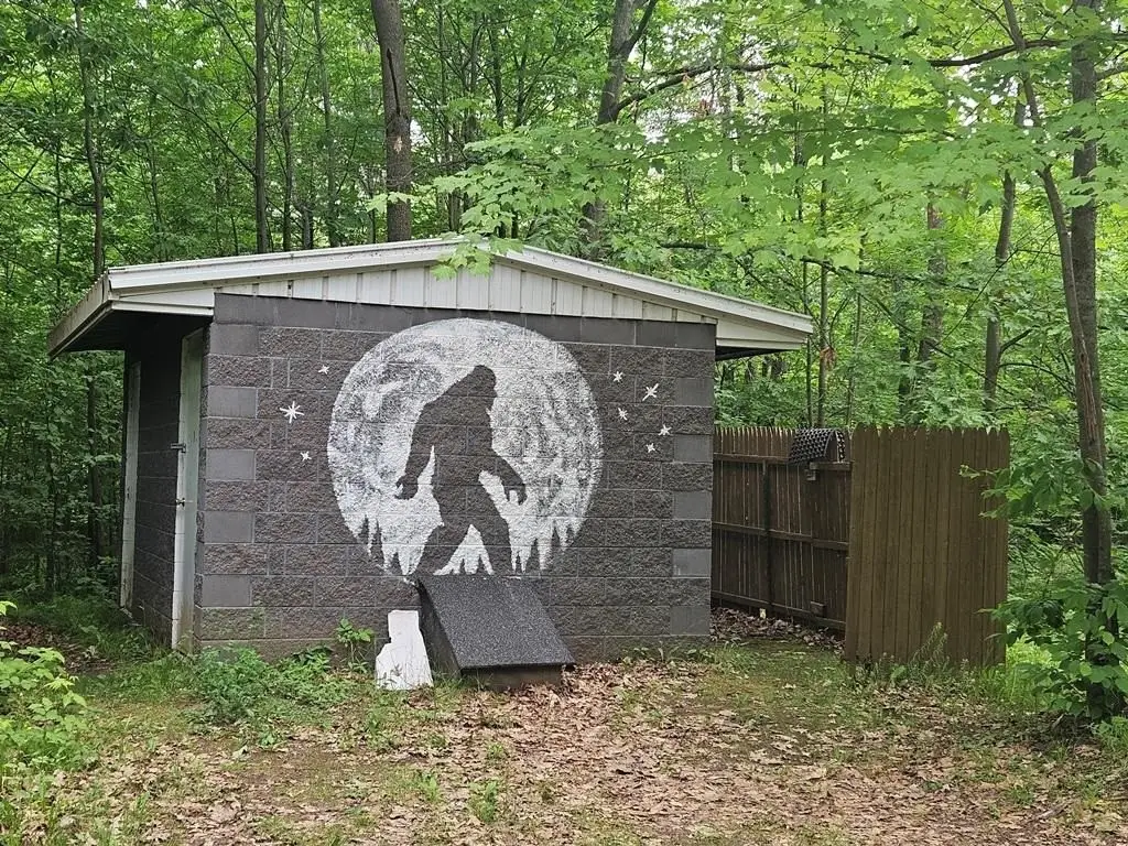 Picture 36