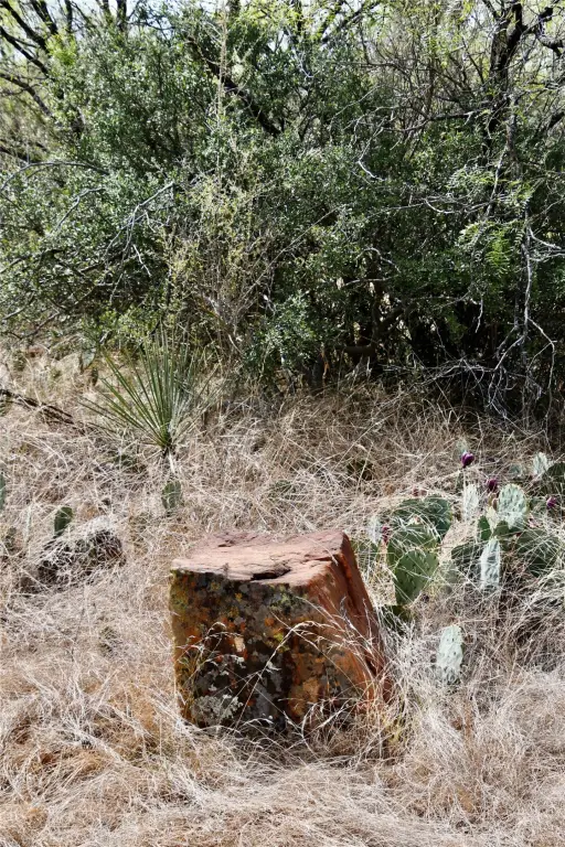 Picture 32