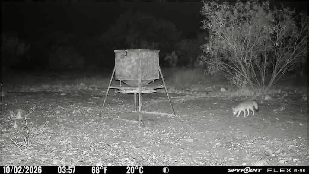 Picture 15