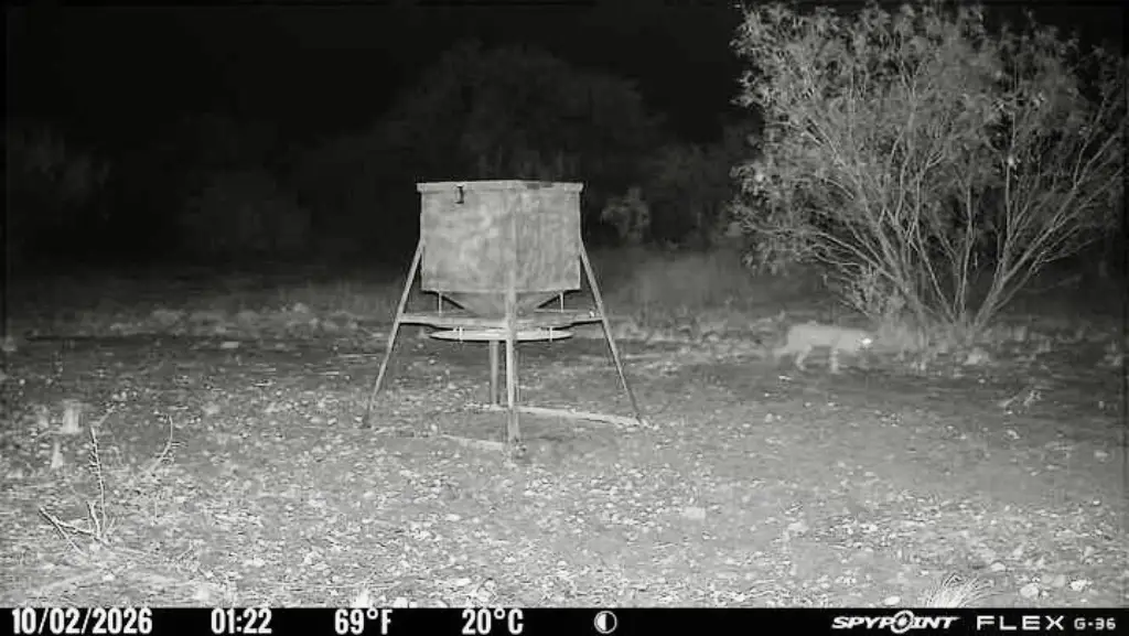 Picture 16