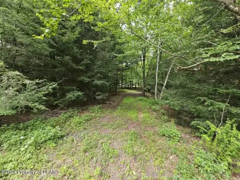 Land in Bear Creek Village