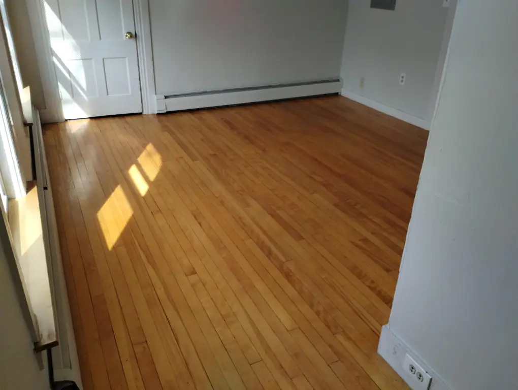 Picture 17