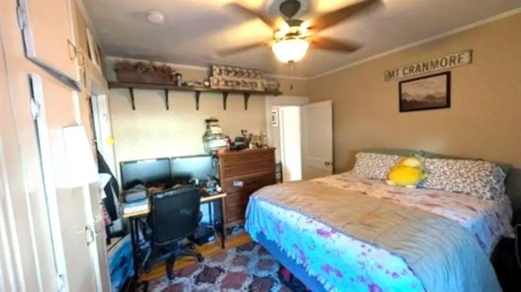 Picture 7