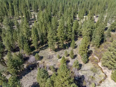 Placerville Land with Creek Frontage