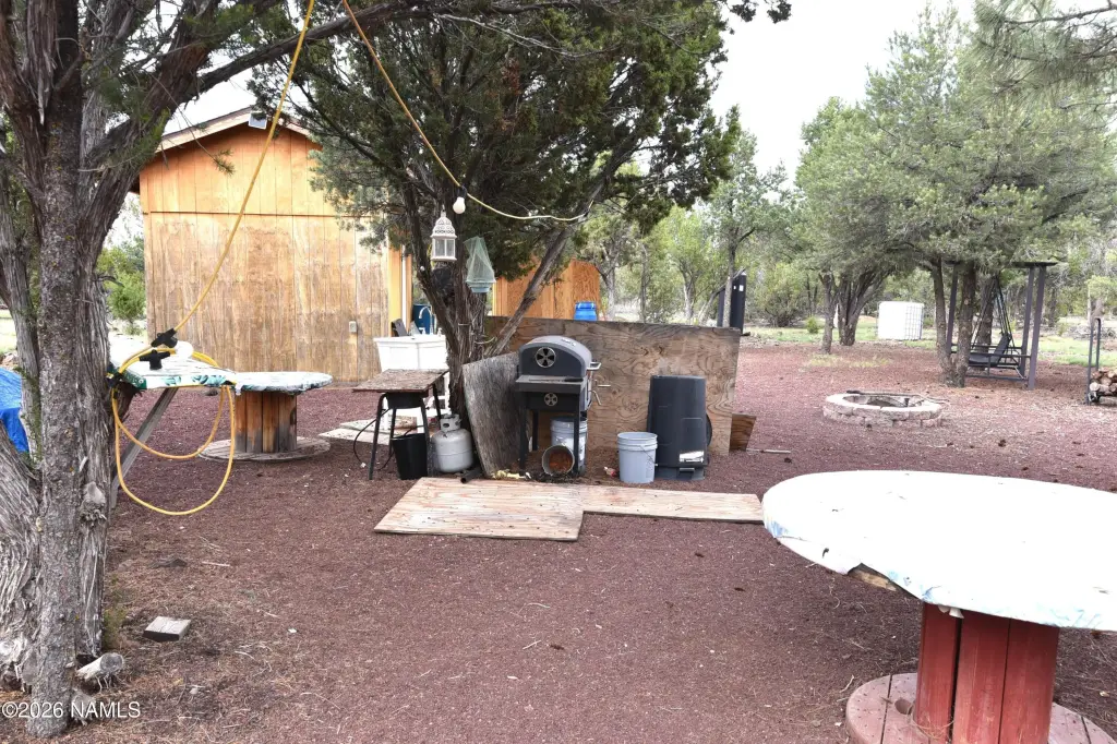 Picture 12