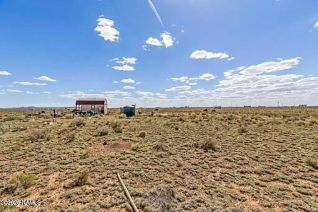 Picture 20