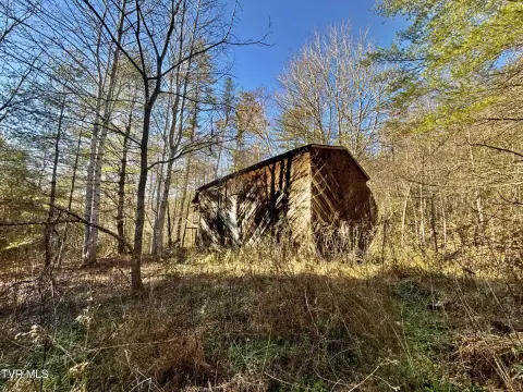 Secluded Wooded Acreage in Hartford, TN