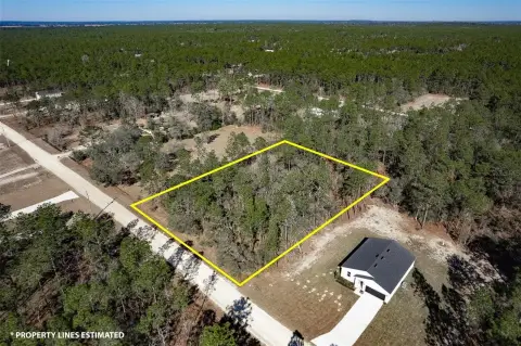 Residential Lot in Dunnellon, FL